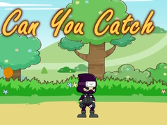Trò chơi Can You Catch