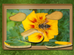 Trò chơi Find & Restore: Hidden Puzzle