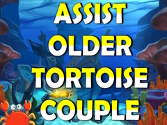 Trò chơi Assist Older Tortoise Couple