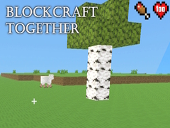 Trò chơi BlockCraft Together