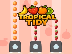 Trò chơi Tropical Tidy