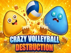 Trò chơi Crazy Volleyball Destruction