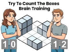 Trò chơi Try To Count The Boxes Brain Training