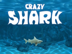 Trò chơi Crazy Shark