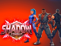 Trò chơi Shadow Combat