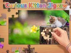 Trò chơi Curious Kitten Jigsaw