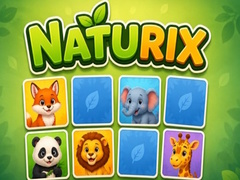 Trò chơi Naturix