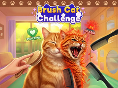 Trò chơi Brush Cat Challenge 
