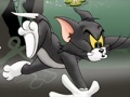 Trò chơi Tom And Jerry Chase In Marsh