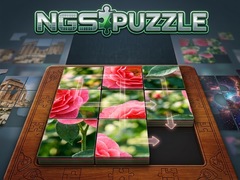 Trò chơi NGS Puzzle
