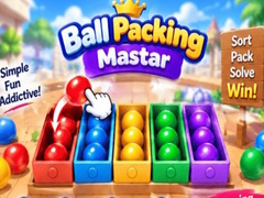 Trò chơi Packing Master Puzzle
