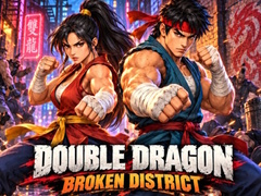Trò chơi Double Dragon Broken District