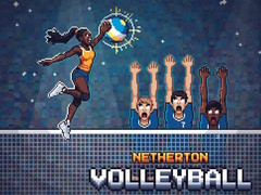 Trò chơi Netherton Volleyball