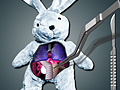 Trò chơi Save The Bunny