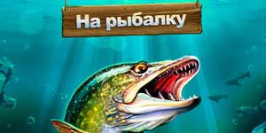 Hãy cá